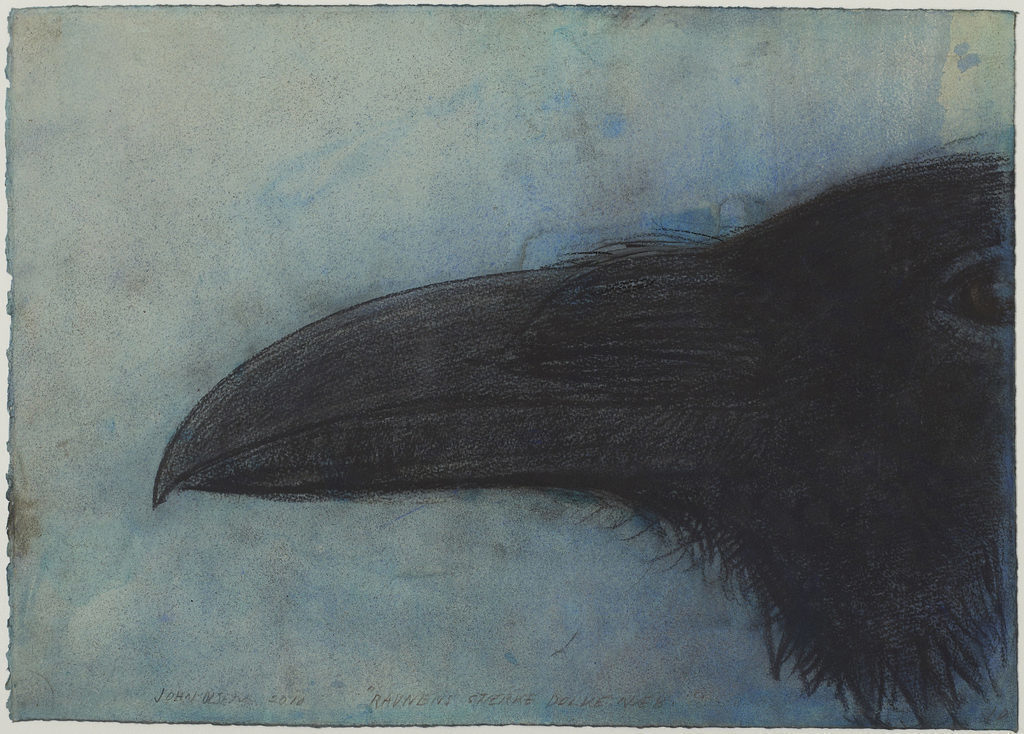 John Olsen, Ravnenæb, 2010