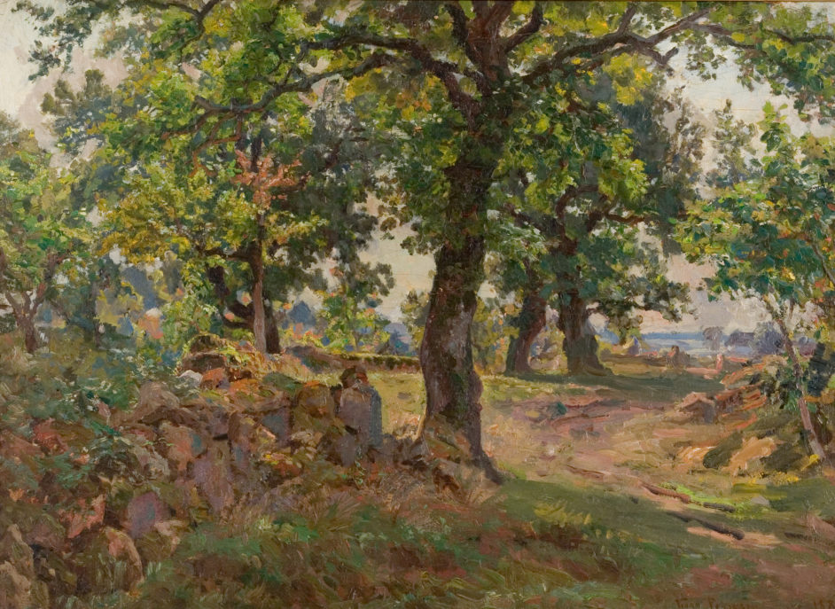 Oak trees, Italy
