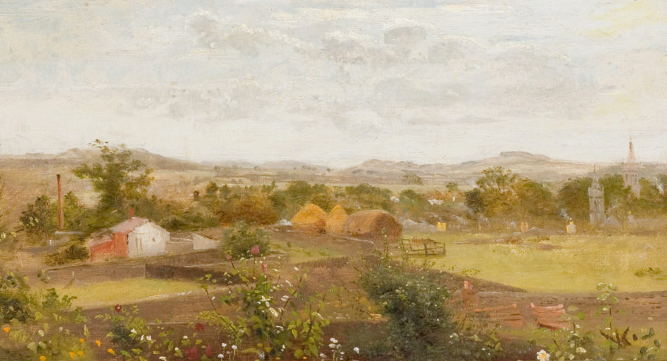 Summer Landscape