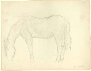 Hest. Verso: Hest