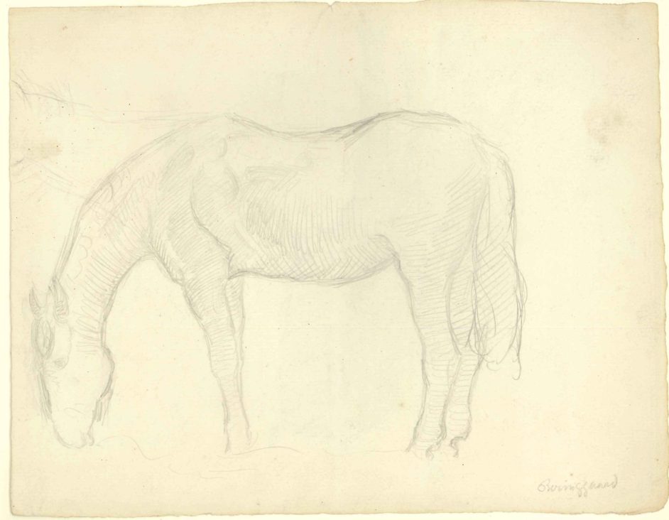 Hest. Verso: Hest