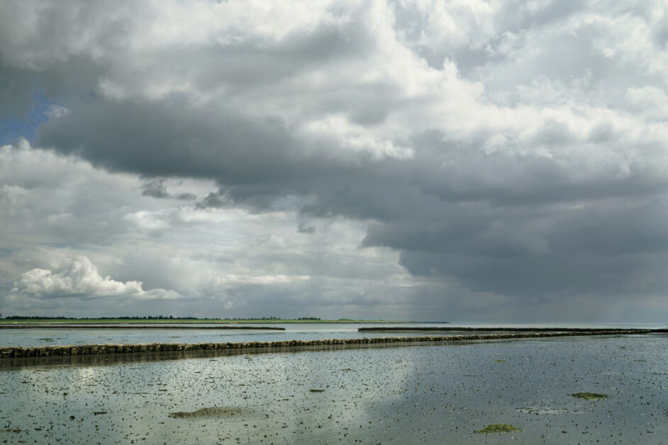 Mandø Ebbevej