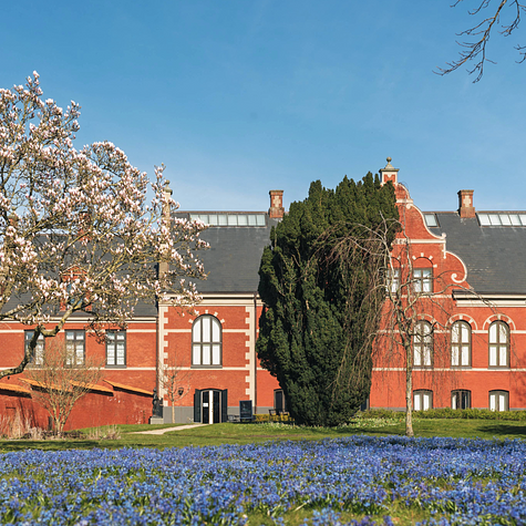 Besøg museumshaven, der er offentlig tilgængelig
