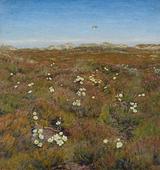 Niels Skovgaard. Klitroser ved Fiilsø. 1892 | RKM