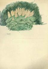 Stephan Ussing. En plante med blomster | RKM