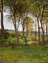 P.C. Skovgaard. Delhoved skov, Skarrit sø. 1846 | RKM
