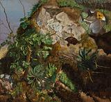 Marie Bang. Klippeafsats med bøgegren, gule blomster, mos og østershatte. 1878. 1882 | RKM