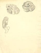 Stephan Ussing. Skitser af tudser og ugle | RKM