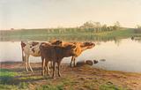 H.O. Brasen. Morgenhilsen, kvier ved vadested. 1898 | RKM