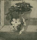 Oluf Jensen. Potteplante. 1913 | RKM