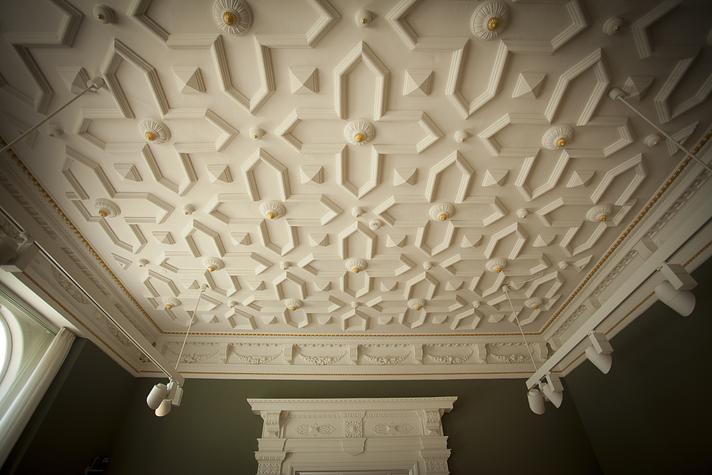 Museets mønstre og dyr
